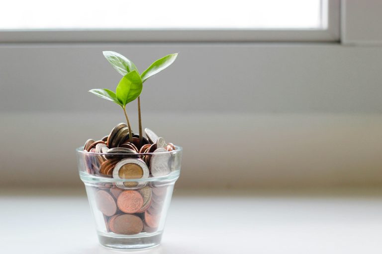 Energy Saving Tips: 10 Easy Ways to Cut Your Bills